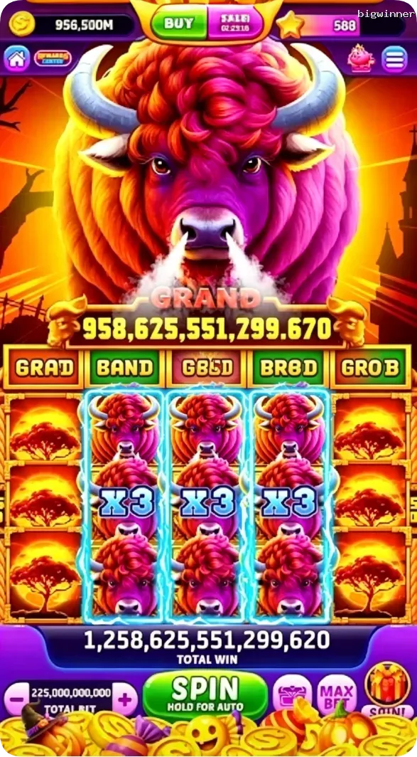 bigwinner Tangkapan Layar Resmi APK